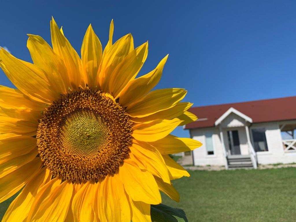 Gizycko-Przerwanki Domki Widok Na Mazury Bagian luar foto