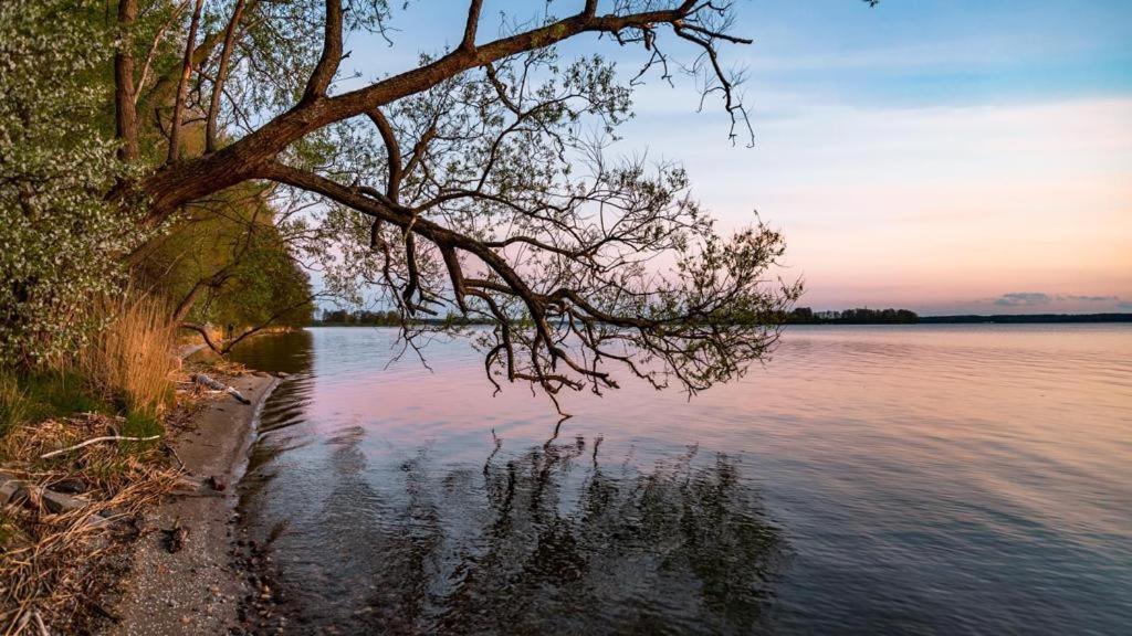 Gizycko-Przerwanki Domki Widok Na Mazury Bagian luar foto
