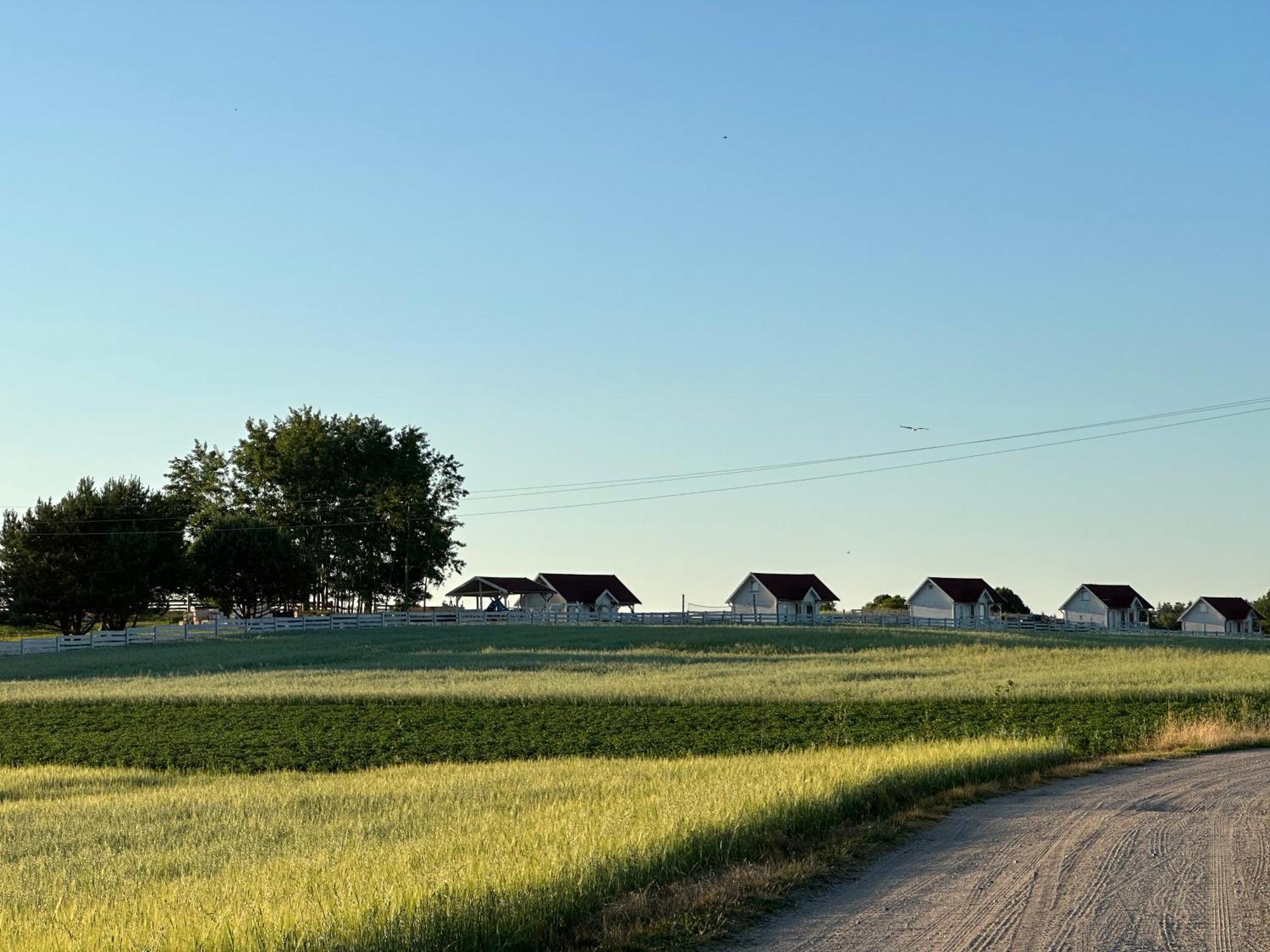 Gizycko-Przerwanki Domki Widok Na Mazury Bagian luar foto