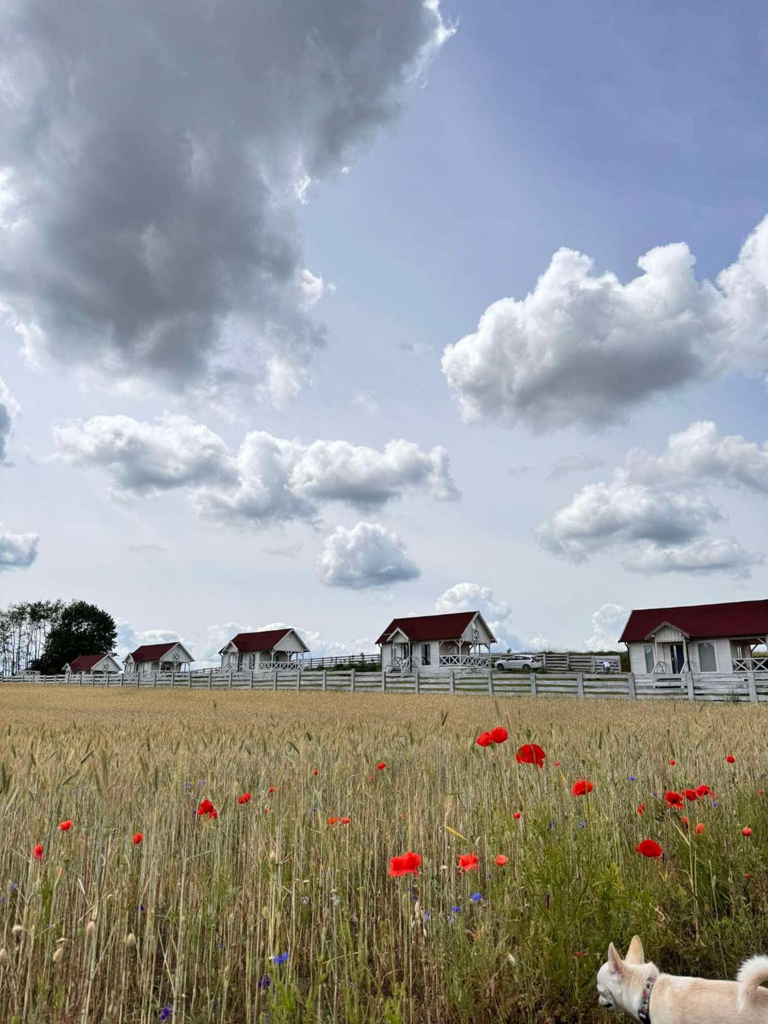 Gizycko-Przerwanki Domki Widok Na Mazury Bagian luar foto